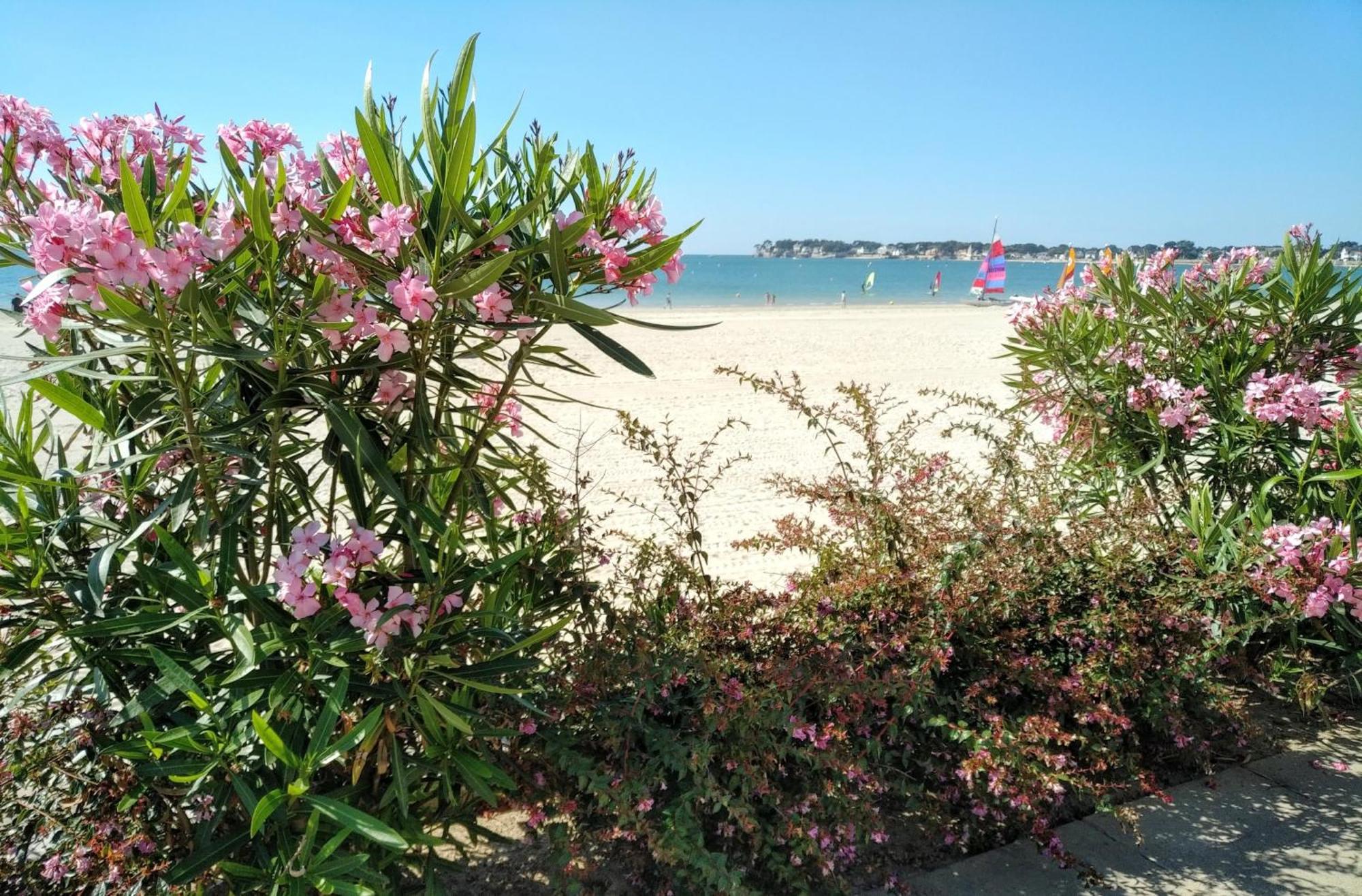 Le Capitole - Studio Plage Benoit Dans Residence Face Mer La Baule-Escoublac Exterior foto